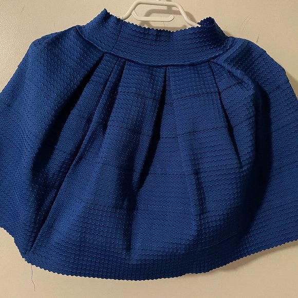 Blue Skirt - Picture 1 of 4